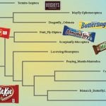 Phylogenetic tree diagram with candy bars