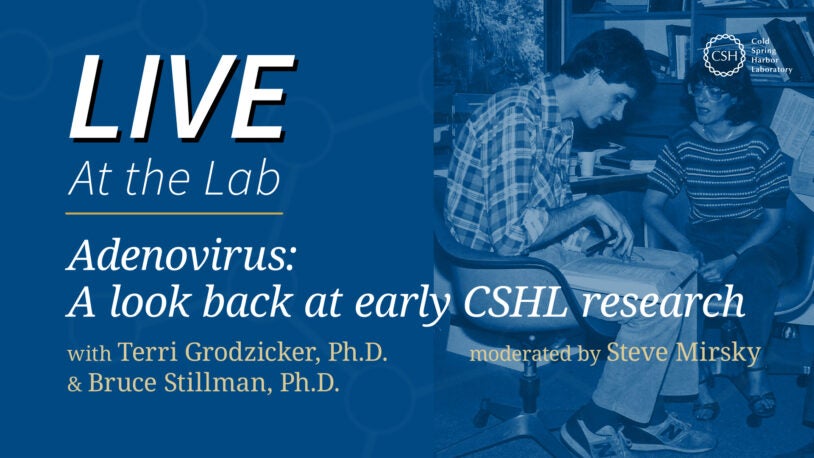 <em>LIVE At the Lab</em>: Adenovirus – A look back at early CSHL research