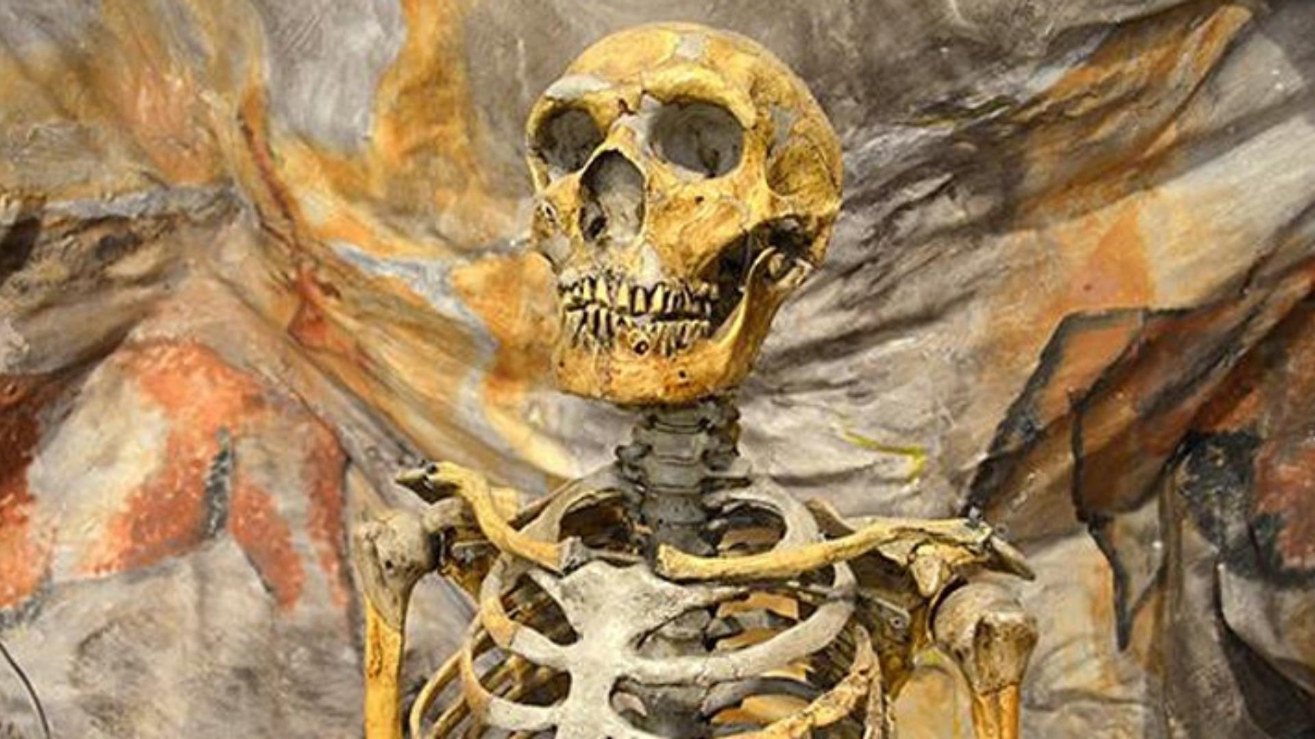 Photo of skeleton