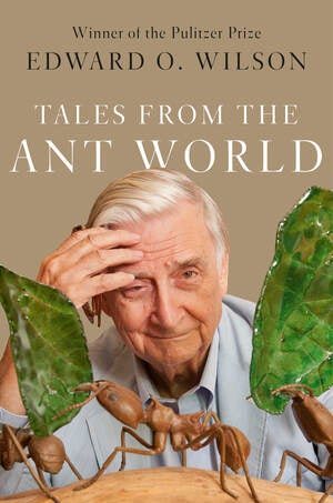Book cover: Tales from the Ant World