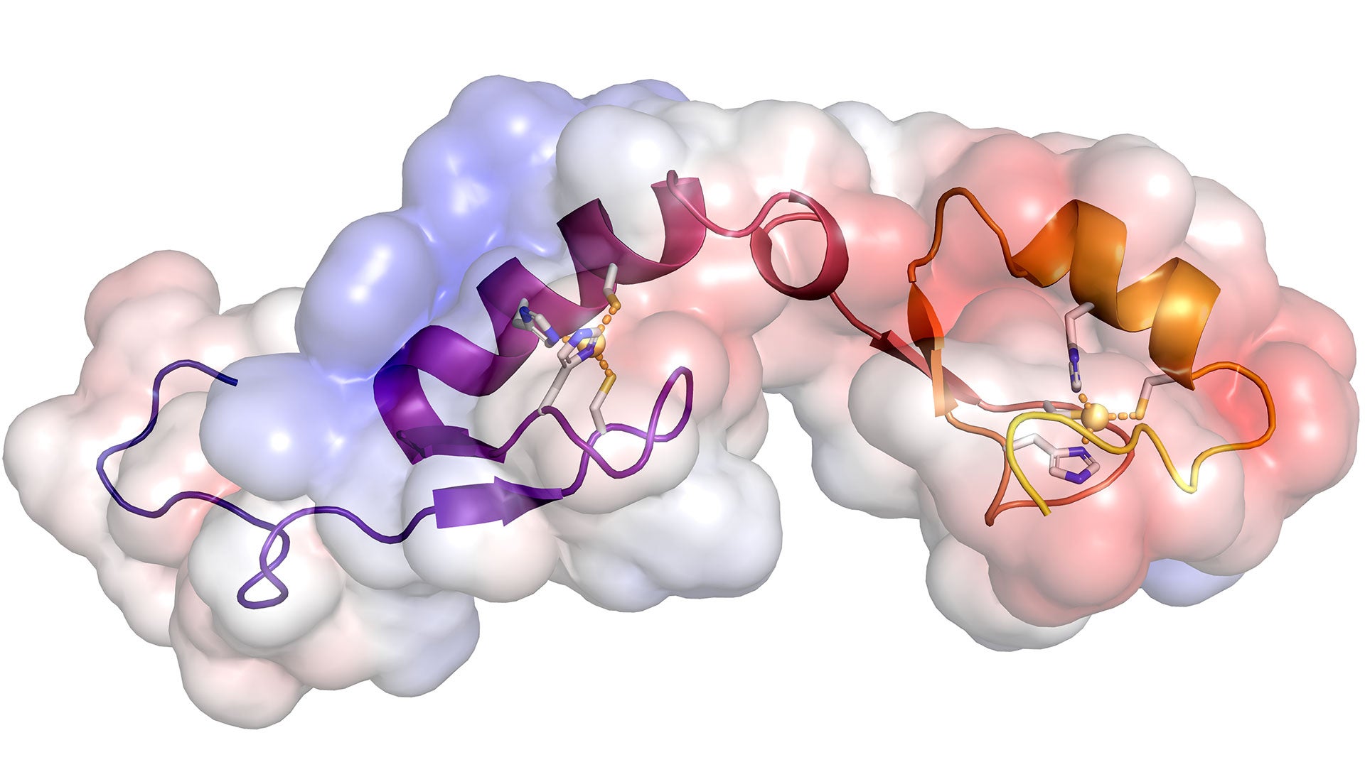 cryo-em image of the Asterix/Gtsf1 protein