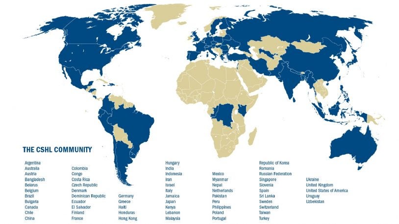 image of world map