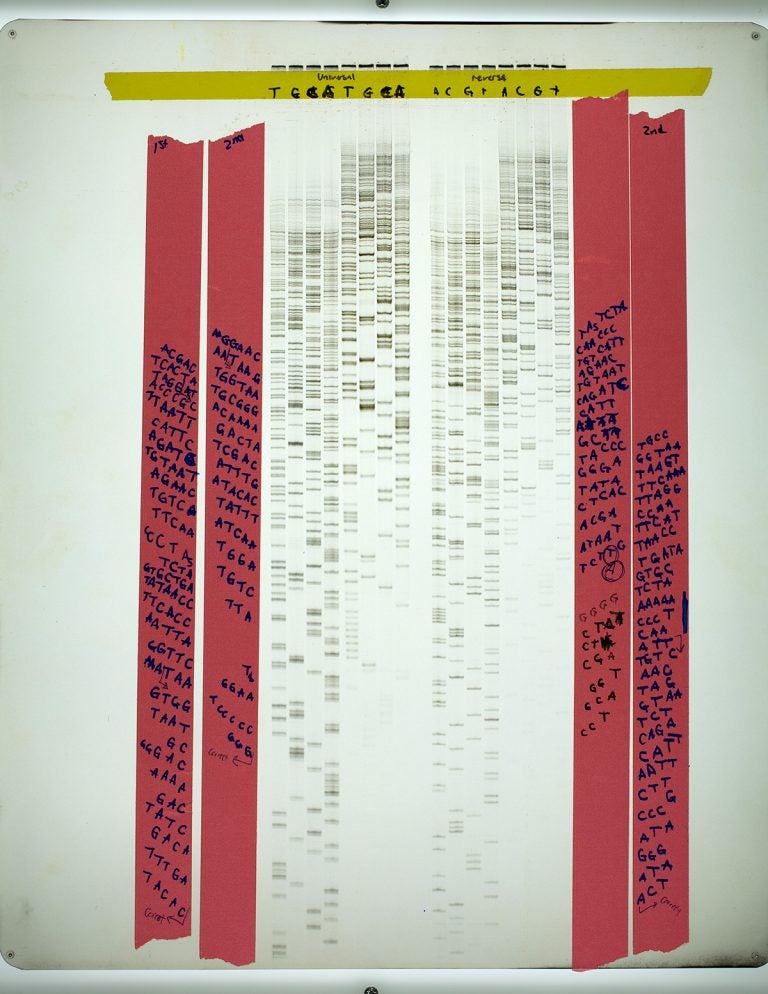 scanned image of Carol Greiders lab notebook with sequenced RNA