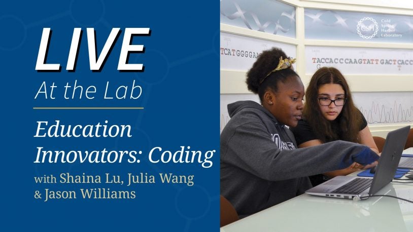 Education Innovators – Coding