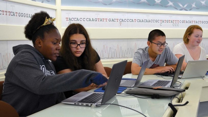 photo of students at the DNA Learning Center working on laptop computers