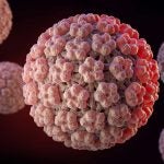 3D illustration of the Human Papilloma Virus