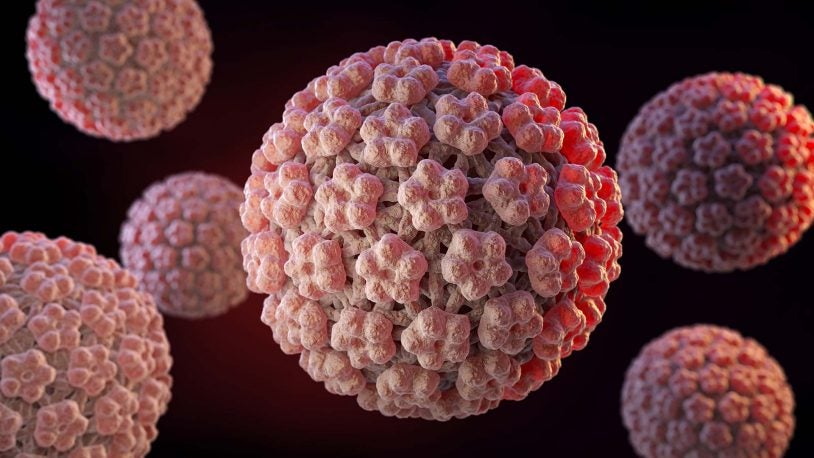 3D illustration of the Human Papilloma Virus