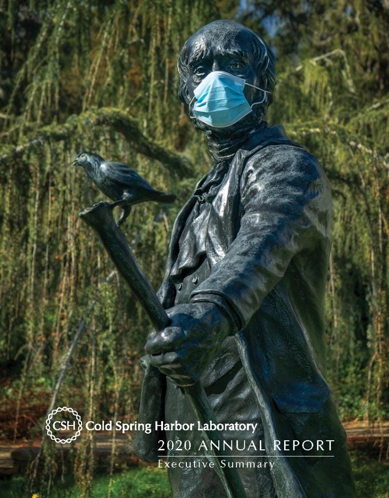 image of the cover of the 2020 CSHL Executive Summary