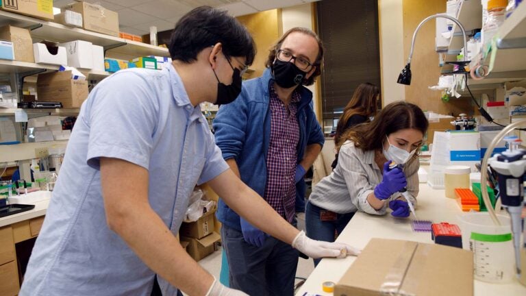 photo of Semir Beyaz working in his lab
