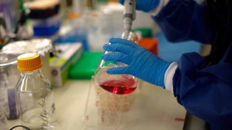 photo of researcher pipetting