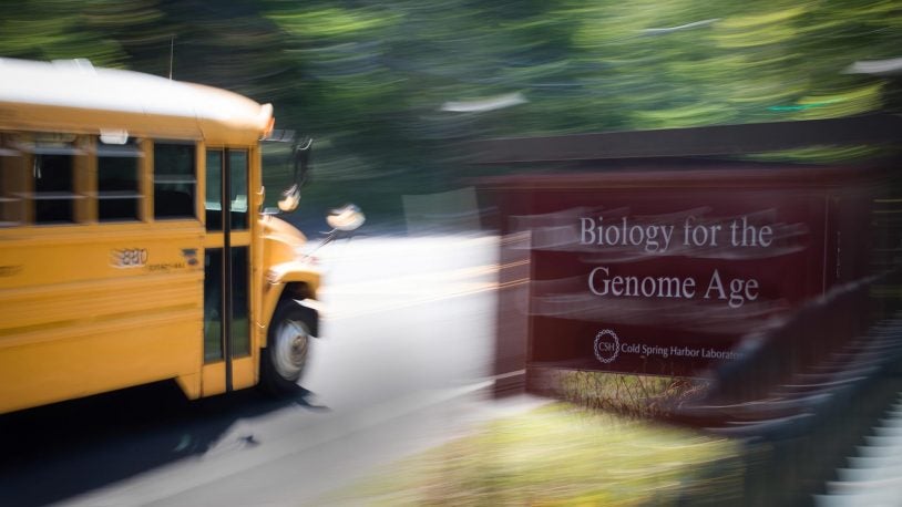 photo of a school bus passing the CSHL sign