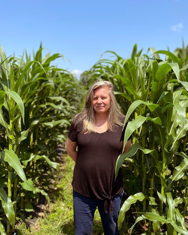 photo of Doreen Ware standing in a cornfield at CSHL Uplands Farm