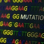 illustration of DNA sequence with colored letters on black background containing mutation