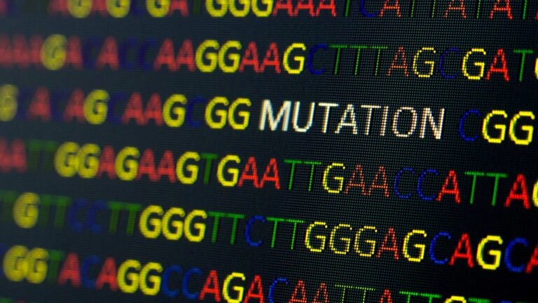 illustration of DNA sequence with colored letters on black background containing mutation