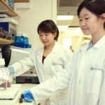 photo of postdocs working in Nick Tonks lab