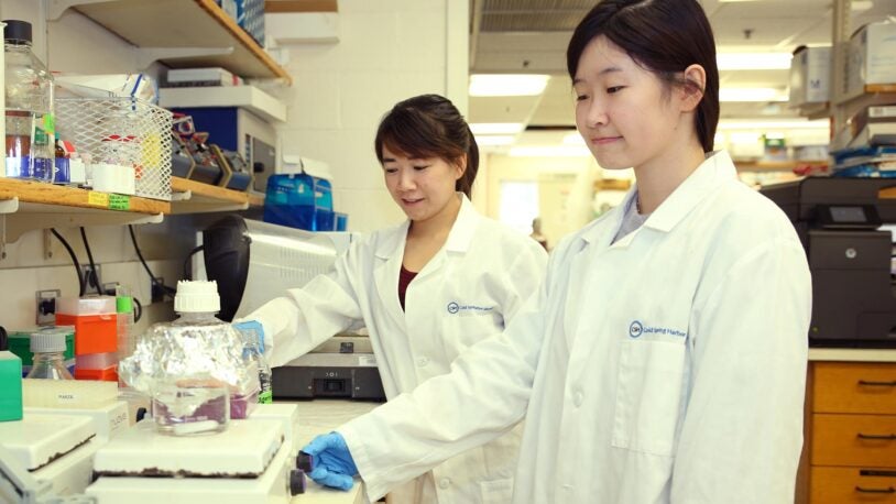 photo of postdocs working in Nick Tonks lab