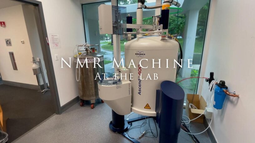 Tools of the trade at CSHL: NMR