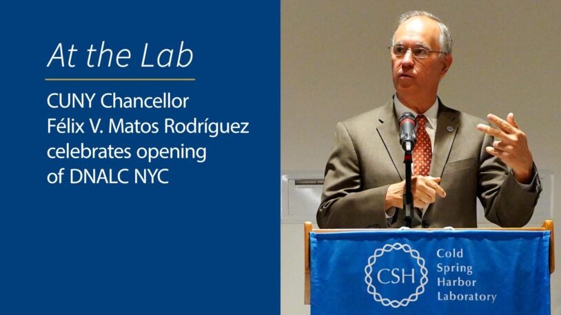 DNA Learning Center provides new STEM opportunities in NYC