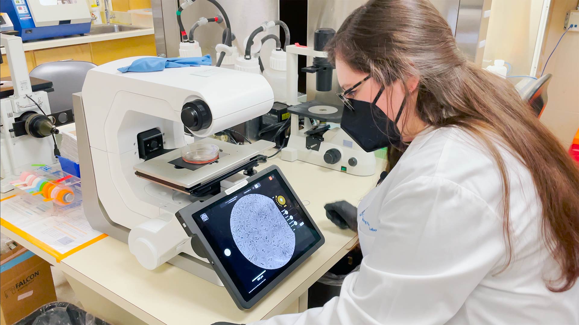 photo of Martyna Sroka looking at cells in a microscope