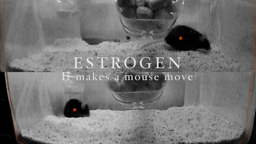 image still from Jessica Tollkuhn estrogen video