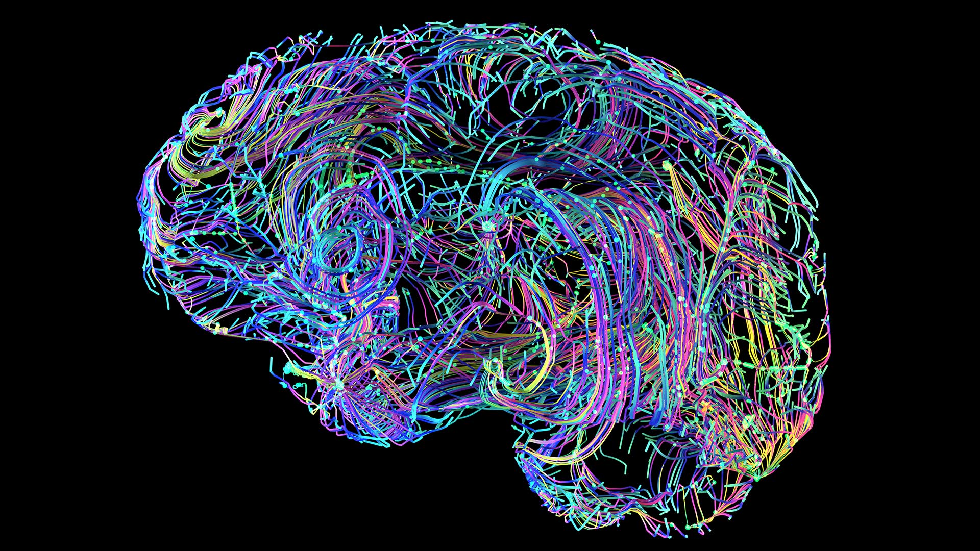illustration of colorful brain connections