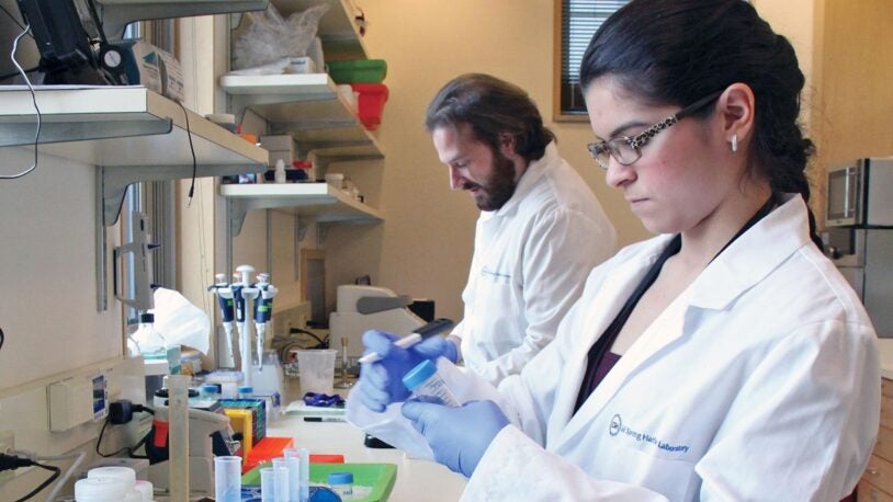 photo of breast cancer researchers at CSHL