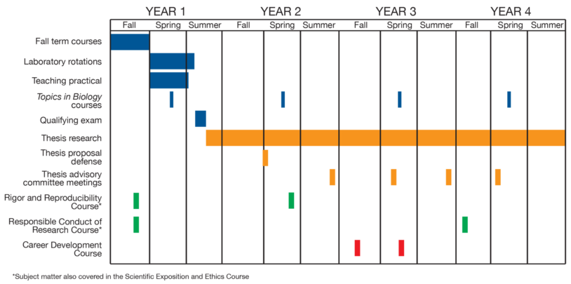 image of SBS curriculum chart