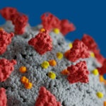 Image of Coronavirus