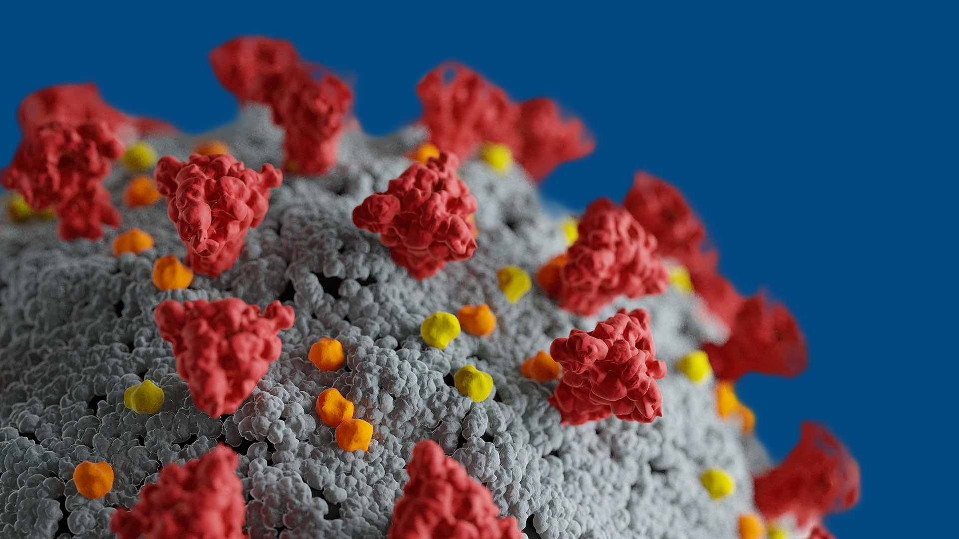 Image of Coronavirus