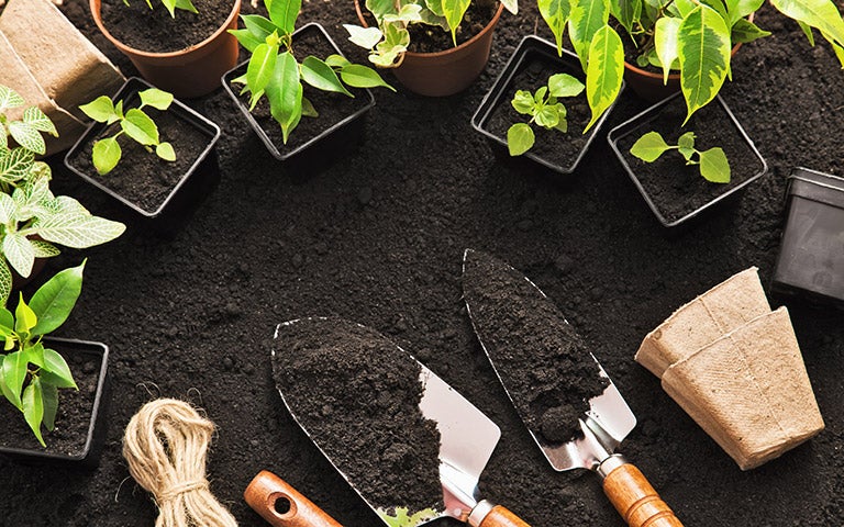photo of gardening tools and plants on dirt