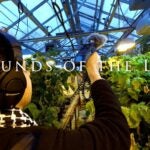 Sounds Of The Lab