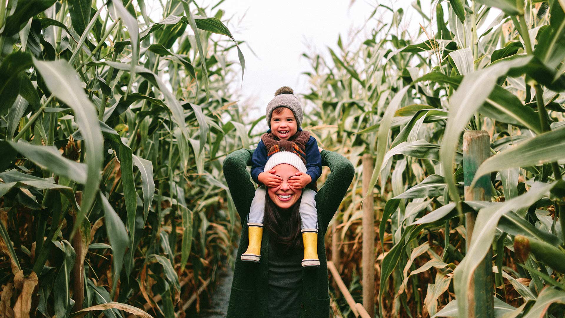 photo of a young woman in a corn field with her son on her shoulders