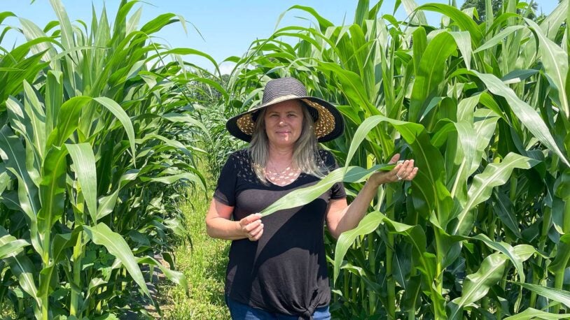 photo of Doreen Ware in a cornfield