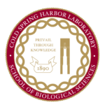 image of the SBS seal