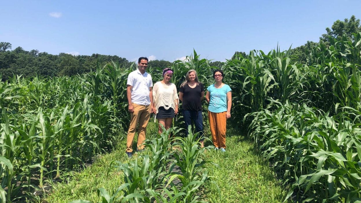 photo of Doreen Ware with people from her lab standing in a corn field