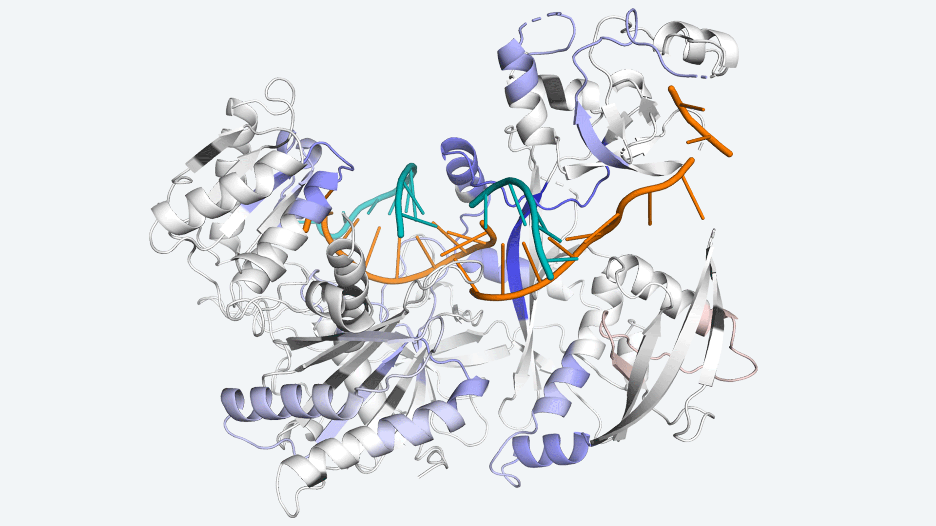 illustration of an argonaute protein