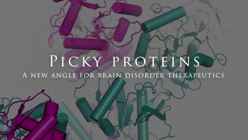 video still from picky proteins video