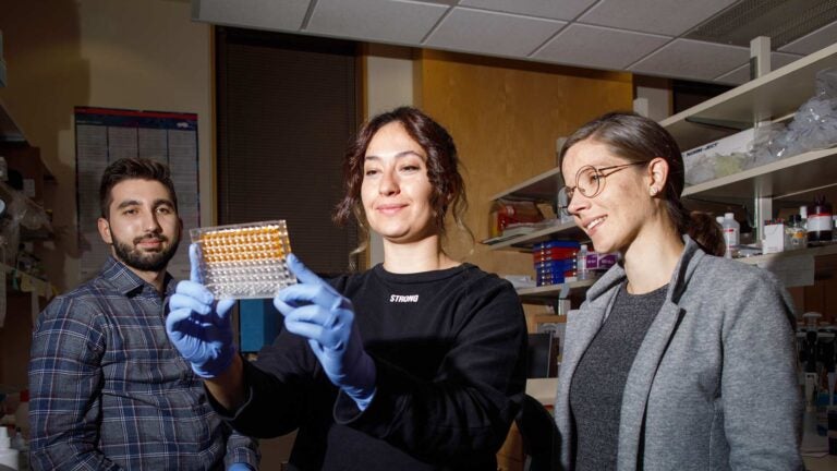 photo of Hannah Meyer looking at biological samples