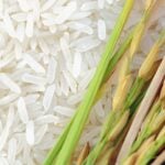 photo of rice grains and rice ear