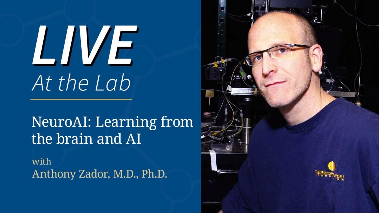 Image of Live at the Lab Tony Zador NeuroAI webinar video still