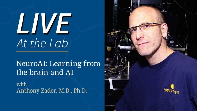 <em>LIVE At the Lab</em>: NeuroAI: Learning from the brain and AI