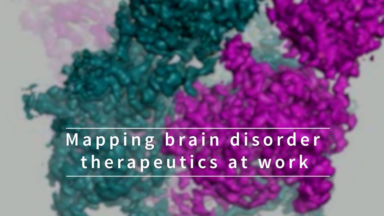 Mapping brain disorder therapeutics at work