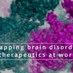 Mapping brain disorder therapeutics at work