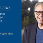 Image of At the Lab The genetic landscape of autism with Michael Wigler