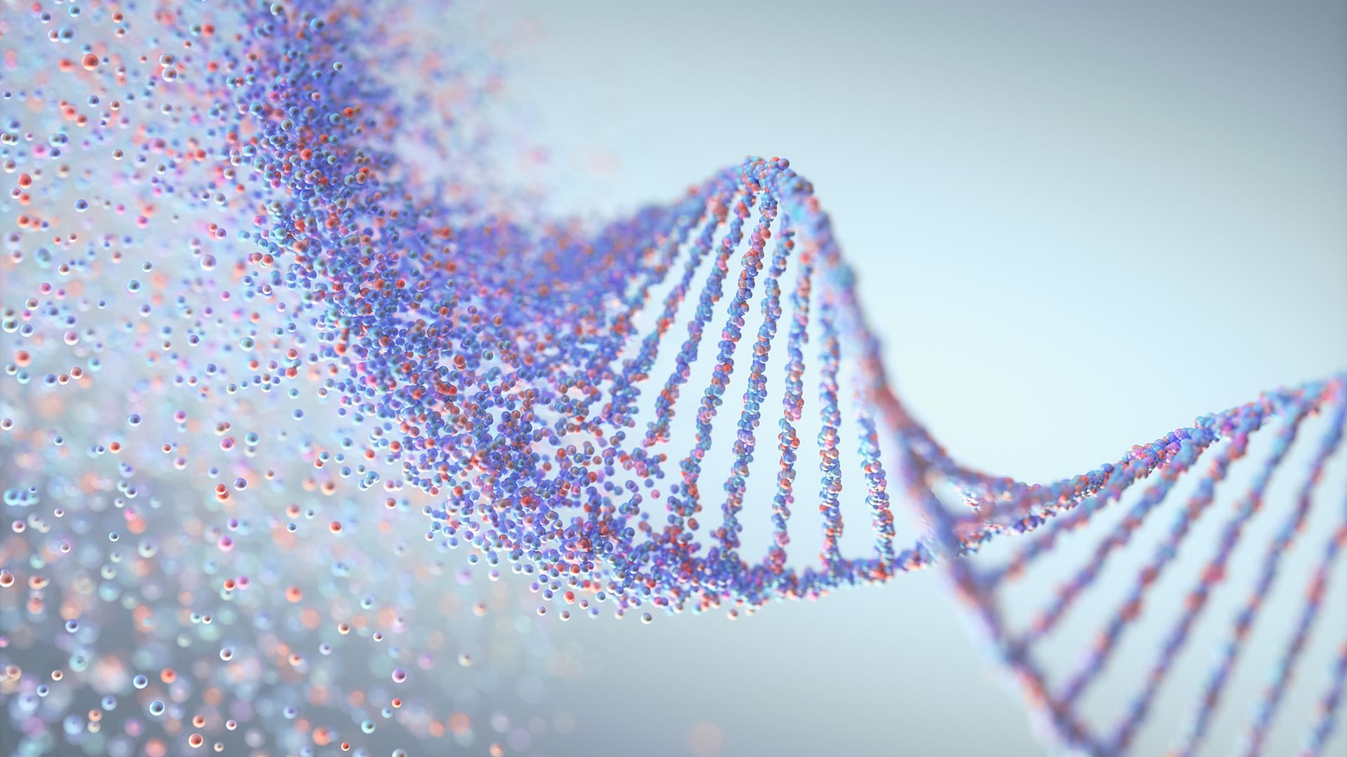 Image of DNA molecule structure