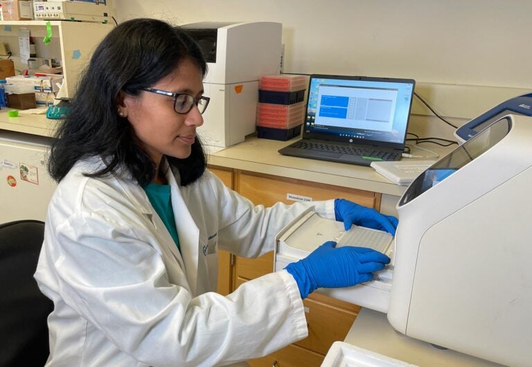 Image of Hazra using the Real-time PCR System