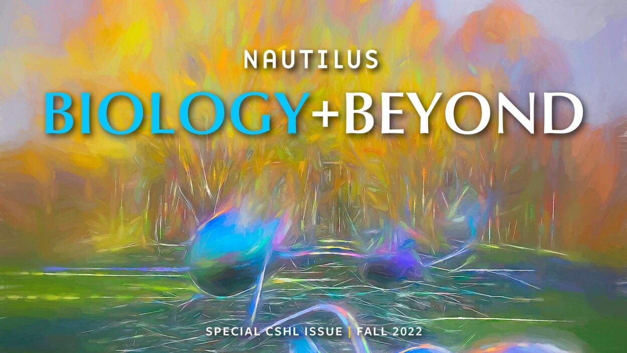 Image of Nautilus Biology and Beyond Cover