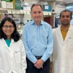 Image of Spector and two Postdoctoral Fellows in his lab