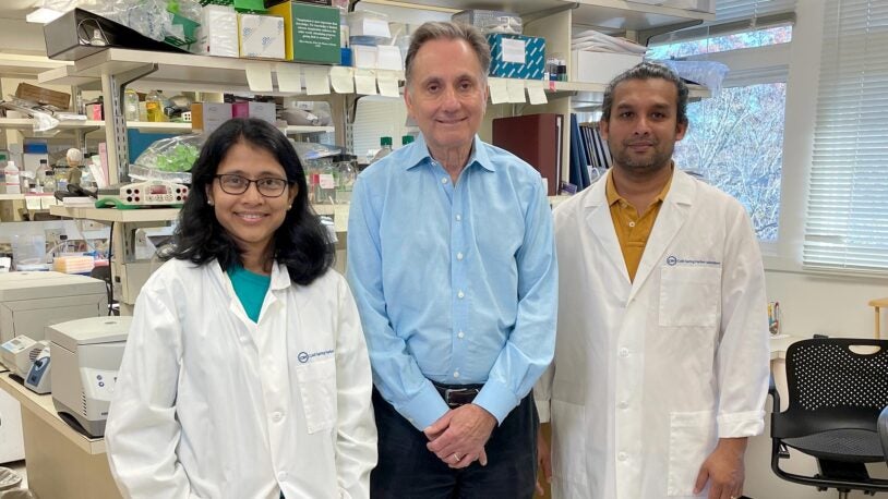 Image of Spector and two Postdoctoral Fellows in his lab