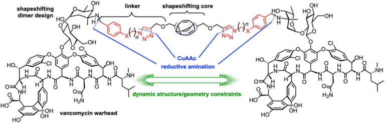 Image of new antibiotic chemical structure